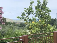 Single house tricamere Hotels in Tertenia