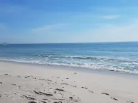 2 Bedroom 1 Bath Modern Oceanfront Condo Overlooking the Beach - Beach