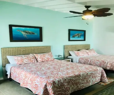 Huge 2-bedroom condo with WiFi, AC in enjoyable St. Thomas
