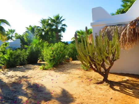 Villa Gardenia - Oceanfront Casa Studio Отели рядом с достопримечательностью «La Sonrisa de la Muerte»