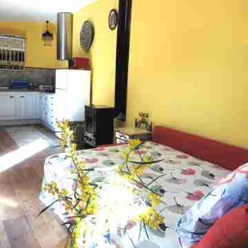 Comfortable apartment and swimming pool in the shade of the pine forest of Chipiona Rooms