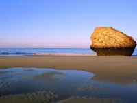 Hotel Lince Hotels in Aljarafe