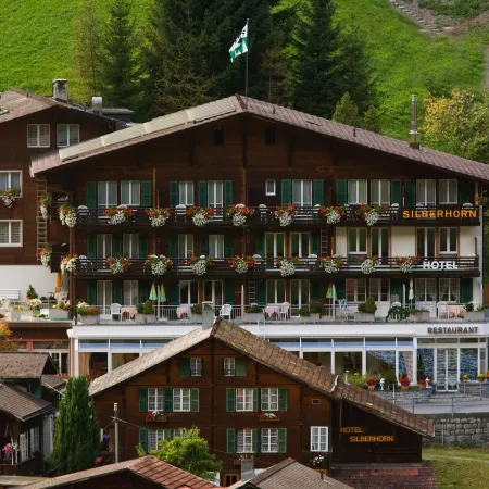 Hotel Silberhorn