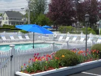 Elmwood Resort Hotel - Beach