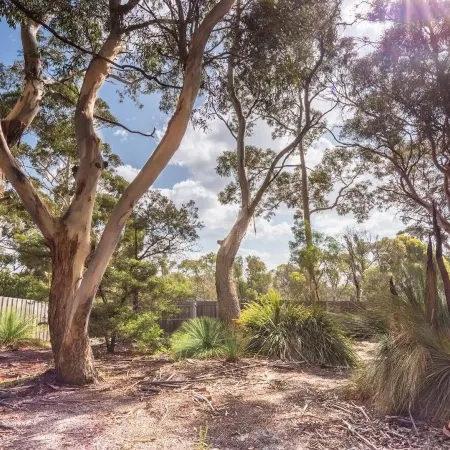 Bush Hideaway by the Beach