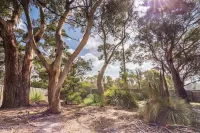 Bush Hideaway by the Beach
