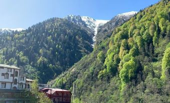 Ayder Yesil Vadi Otel