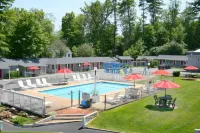 Barberry Court Motel &Cabins - Motels