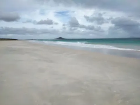 Great Exhibition Bay Bach