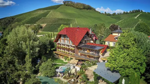 Hotel Rebstock Durbach Hotels in Durbach