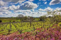 Working Vineyard & Private Pool: Villa in Plymouth - spa