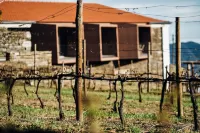 Casa do Santo - Wine & Tourism Hotels in Gouvinhas