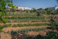 Creta Maris Resort