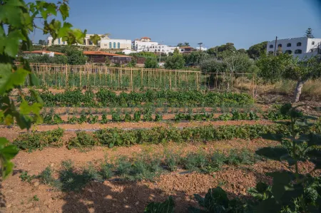 Creta Maris Resort
