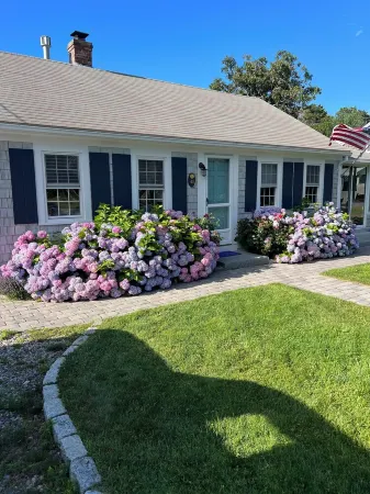 Frank's Cozy Cape Cod Beach Cottage Отели в г. Dennis Port