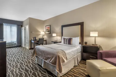 普勒斯會展中心貝斯特韋斯特優質飯店