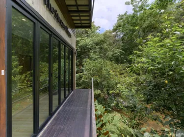 รูปภาพของเดอะ สตรีม เฮ้า