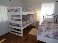 In the Heart of Netarts