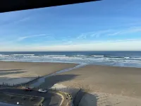 Experience Nature's Spectacle from the Front Row!