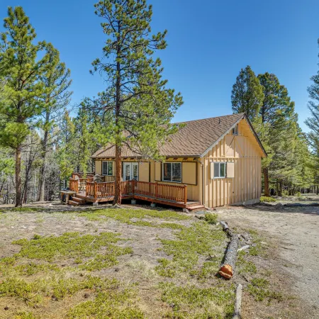 McCall Creekside Cabin Secluded Buena Vista Gem!