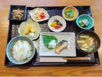 Matto Terminal Hotel Hotels in Hakusan
