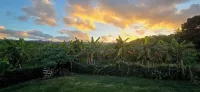 4M Dome Tent Getaway,  Laie, Oahu Hotels in Laie