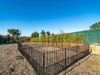 Melrose Exec Studio Queen + Bunk - Pet-Friendly Hotels in Vista
