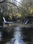 ‘Volcano Country’ Creek side Cottage in Doty