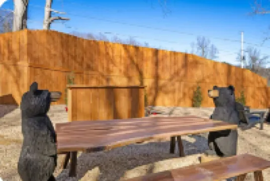 Cabin Apt 20Min to Gatlinburg Across from Ntl Park GameRoom+FirePit+Pet Friendly