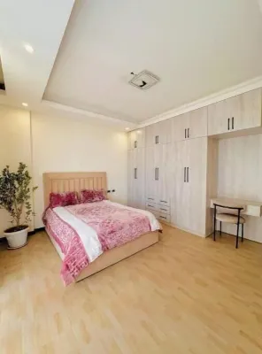 Luxurious Apartment In Addis Ababa