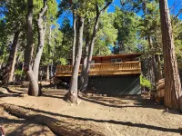 Cozy 2-bedroom Cedar cabin in charming Sequoia National Park with WiFi