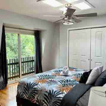 Bright & Spacious Lincoln Park Gem – Sleeps 9! Rooms