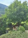 Quiet 30 m² studio between sea and mountains Hotel in zona La meridiana di Ilonse
