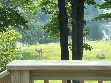 3-bedroom house located three miles from Sawyer Lake on the Michigamme River