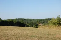 A lovely cottage where guests are in a quiet place completely private.