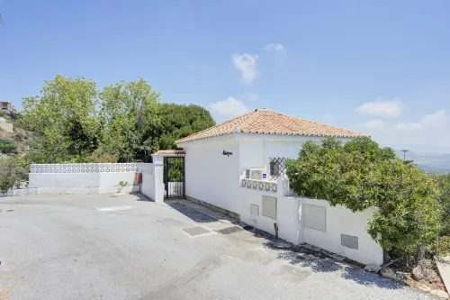 Comeback Monte de los Almendros Petite Fleur