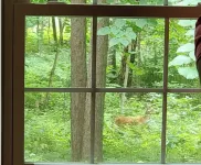 Escape to Tranquility: Cozy 2-Bedroom Cabin in Nisswa, MN