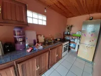 A haven of greenery in the heart of the city and a few steps from the lagoon ...