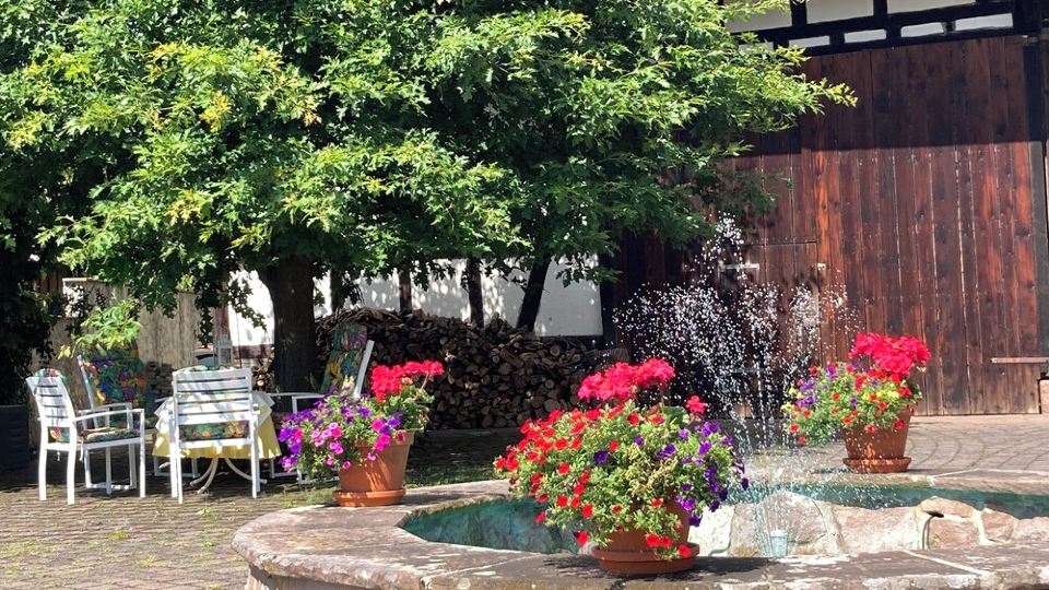 Vacation apartment Chalet Niklashof Fulda