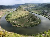 Vacation home Kaamter Ferkelsmarkt. Pet friendly!