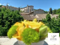 Monastero del Palazzo Casa Vacanze, apartment with panoramic terrace