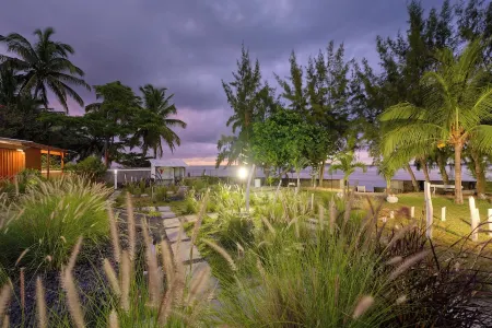 Charming 1 bedroom studio sea front and  huge  creole garden with AC, WiFi