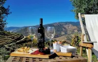 QUINTA DAS FONTAINHAS DOURO VALLEY Your paradise in the Douro. Hotels in Tabuaco