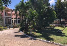 Euphoria at Paradisiac Beach Club