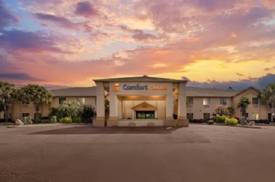 Comfort Suites