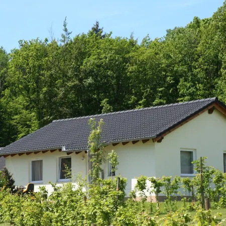 Bungalow in Eifel near Mountain Trails