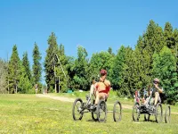 Apartment in Cerdanya with Valley Views