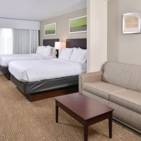 Holiday Inn Express & Suites LAFAYETTE by IHG