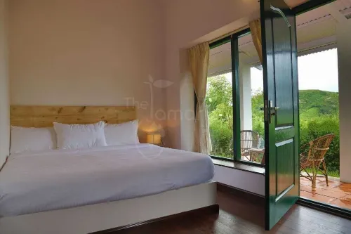 The Tamarillo - Bed and Breakfasts