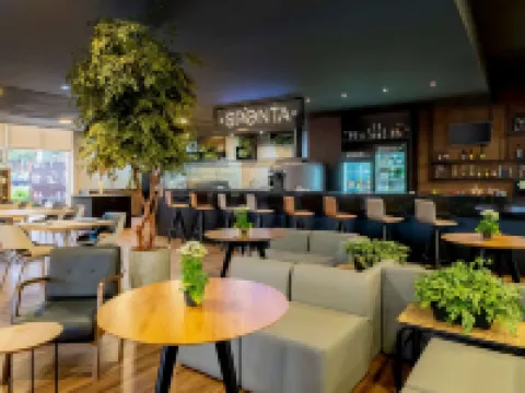 Ibis Piracicaba